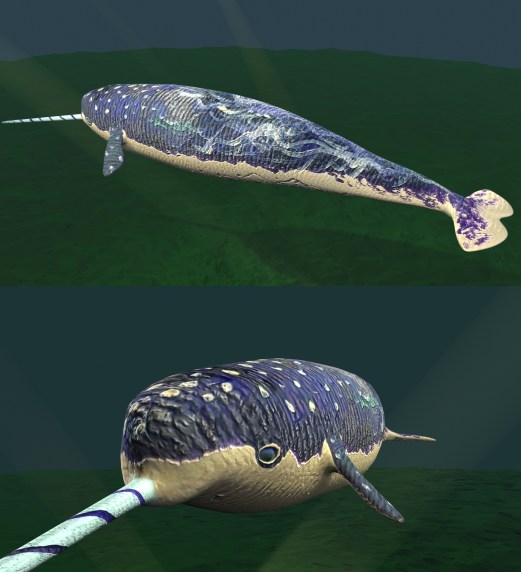 narlymodel_v004_render_v001_take1and2